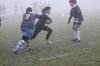 IMG_5626_risultato.JPG