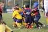 Nome del file=Silea_29_10_2017.jpg
Dimensione del file=102KiB
Dimensioni=1800x1200
Aggiunta il=Ott 30, 2017 Silea_29_10_2017.jpg