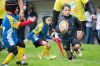 Nome del file=Verona_Rugby_U6_01.jpeg
Dimensione del file=239KiB
Dimensioni=1600x1066
Aggiunta il=Giu 03, 2019 Verona_Rugby_U6_01.jpeg