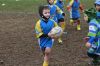 _MG_2497_28FILEminimizer29.JPG